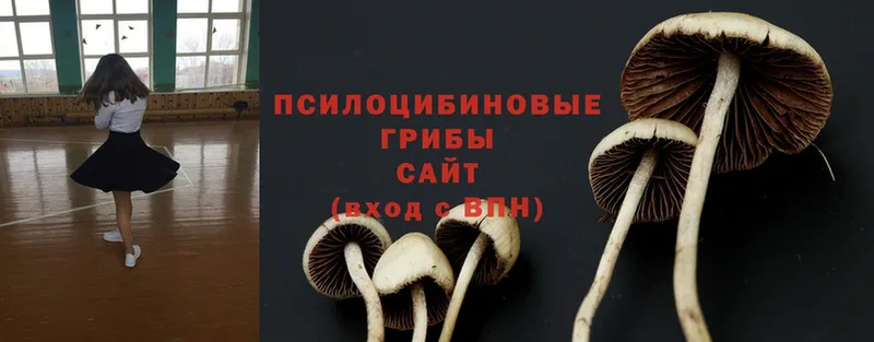 Псилоцибиновые грибы MAGIC MUSHROOMS  Вилюйск 